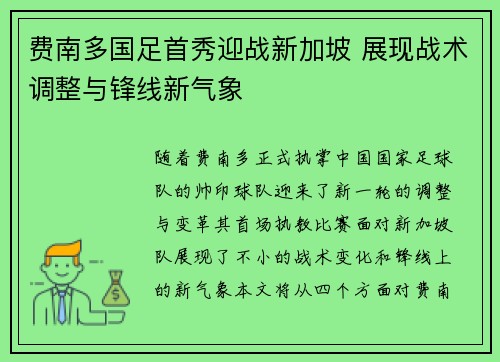 费南多国足首秀迎战新加坡 展现战术调整与锋线新气象 费南多国足首秀迎战新加坡 展现战术调整与锋线新气象